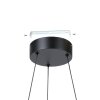 Lámparas Eglo MEZZOMONTE Lámparas suspendidas LED Negro, Mando a distancia