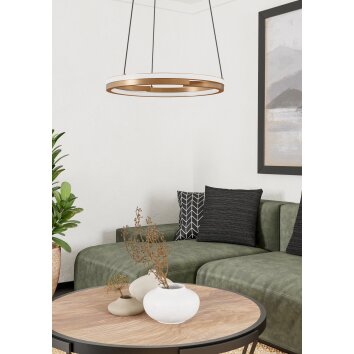 Lámparas Eglo MEZZOMONTE Lámparas suspendidas LED Bronce, Negro, Mando a distancia