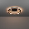 Lámparas Eglo MEZZOMONTE Plafones LED Bronce, Negro, Mando a distancia