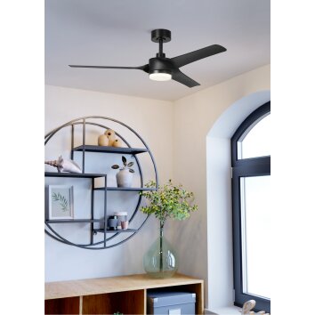 Lámparas Eglo ORCUTT lámpara ventilador de techo LED Negro, Mando a distancia