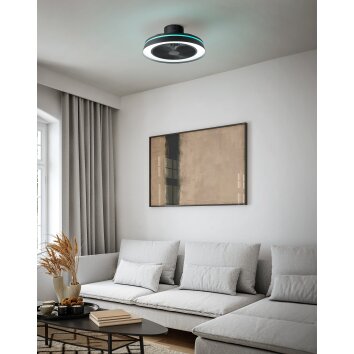 Lámparas Eglo mit lámpara ventilador de techo LED Negro, Mando a distancia, Cambia de color Lámparas Eglo mit lámpara ventilador de techo LED Negro, Mando a distancia, Cambia de color