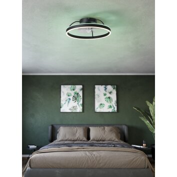 Lámparas Eglo mit lámpara ventilador de techo LED Negro, Mando a distancia, Cambia de color