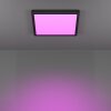 Lámparas Eglo 6-Z Plafones LED Negro, Cambia de color