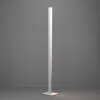Lámparas Eglo BOLOGNANO-Z Lámpara de pie LED Gris, Cambia de color