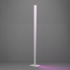 Lámparas Eglo BOLOGNANO-Z Lámpara de pie LED Gris, Cambia de color