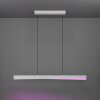 Lámparas Eglo BOLOGNANO-Z Lámparas suspendidas LED Gris, Cambia de color