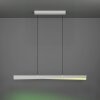 Lámparas Eglo BOLOGNANO-Z Lámparas suspendidas LED Gris, Cambia de color
