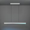Lámparas Eglo BOLOGNANO-Z Lámparas suspendidas LED Gris, Cambia de color