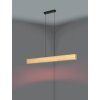 Lámparas Eglo ANCHORENA-Z Lámparas suspendidas LED Marrón, Negro, Cambia de color