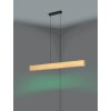 Lámparas Eglo ANCHORENA-Z Lámparas suspendidas LED Marrón, Negro, Cambia de color