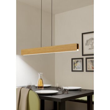 Lámparas Eglo ANCHORENA-Z Lámparas suspendidas LED Marrón, Negro, Cambia de color