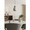 Lámparas Eglo MOLOCHIO-Z Lámparas suspendidas LED Negro, Cambia de color