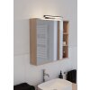 Lámparas Eglo REGELLO-Z Apliques para espejos LED Negro, Cambia de color