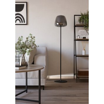 Lámparas Eglo ALFERO-Z Lámpara de pie LED Negro, Cambia de color