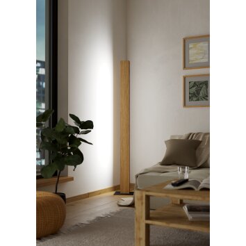 Lámparas Eglo ANCHORENA-Z Lámpara de pie LED Marrón, Negro, Cambia de color Lámparas Eglo ANCHORENA-Z Lámpara de pie LED Marrón, Negro, Cambia de color