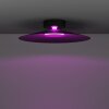Lámparas Eglo CONOMAVILLA-Z Plafones LED Negro, Cambia de color