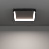 Lámparas Eglo LORETELLO-Z Plafones LED Negro, Cambia de color