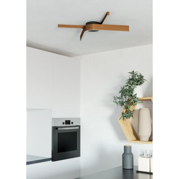 Lámparas Eglo FOLCINO-Z Plafones LED Bronce, Negro, Cambia de color