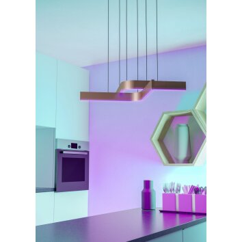 Lámparas Eglo FOLCINO-Z Lámparas suspendidas LED Bronce, Negro, Cambia de color