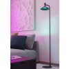 Lámparas Eglo CONOMAVILLA-Z Lámpara de pie LED Negro, Cambia de color
