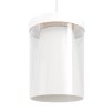 Lámparas Eglo CHIUSELLO-Z Lámparas suspendidas LED Blanca, Cambia de color