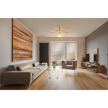 Lámparas Eglo & lámpara ventilador de techo Pulido