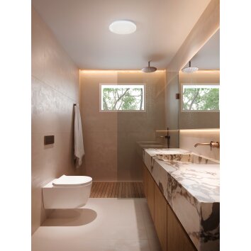 Lámparas Eglo FRANIA-IP Plafones LED Blanca, Cambia de color