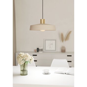 Lámparas Eglo VALDIOLA Lámparas suspendidas Latón, Color arena