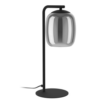 Lámparas Eglo CIAMPINO Lámparas de mesa Negro