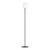 Lámparas Eglo SCORDIANO-L Lámpara de pie LED Negro, Cambia de color