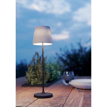 Lámparas Eglo LEONERO Lámparas de mesa LED Negro, Mando a distancia