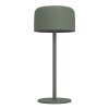 Lámparas Eglo ROCCANOVA Lámparas de mesa LED Verde