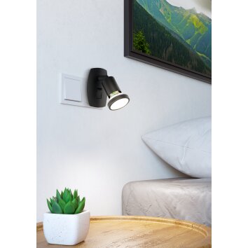 Lámparas Eglo PARRINI Lámparas con enchufe LED Negro
