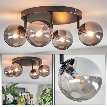 Chehalis Plafones, Luminarias esféricas Ahumado, 4 luces