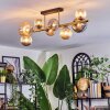 Chehalis Plafones, Luminarias esféricas dorado, Negro, 8 luces