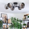 Ripoll Plafones, Luminarias esféricas Cromo, Ahumado, 6 luces