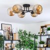 Ripoll Plafones, Luminarias esféricas Colores ámbar, 6 luces
