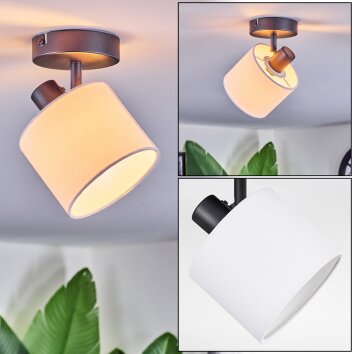 Bassagoda Plafones, Spot techo Negro, 1 luz