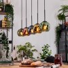 Ripoll Lámparas suspendidas, Luminarias esféricas, Lámparas colgantes Crudo, Negro, 5 luces