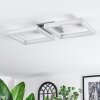Danor Plafones LED Níquel-mate, 1 luz