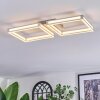 Danor Plafones LED Níquel-mate, 1 luz