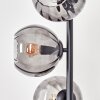Koyoto Luminarias esféricas, Lámpara de pie Ahumado, 5 luces