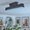 Tarin Plafones LED Negro, 1 luz, Cambia de color Tarin Plafones LED Negro, 1 luz, Cambia de color