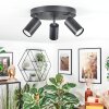 Foren Plafones, Spot techo LED Negro, 3 luces, Cambia de color