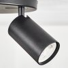 Foren Plafones, Spot techo LED Negro, 3 luces, Cambia de color