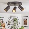 Foren Plafones, Spot techo LED Negro, 3 luces, Cambia de color Foren Plafones, Spot techo LED Negro, 3 luces, Cambia de color