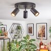 Foren Plafones, Spot techo LED Negro, 3 luces, Cambia de color Foren Plafones, Spot techo LED Negro, 3 luces, Cambia de color