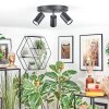 Foren Plafones, Spot techo LED Negro, 3 luces, Cambia de color Foren Plafones, Spot techo LED Negro, 3 luces, Cambia de color