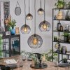 Koyoto Lámparas suspendidas, Luminarias esféricas, Lámparas colgantes Transparente, Ahumado, 5 luces