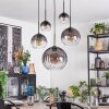 Koyoto Lámparas suspendidas, Luminarias esféricas, Lámparas colgantes Transparente, Ahumado, 5 luces